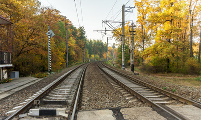 Fototapeta na wymiar Railroad tracks on the background of autumn forest
