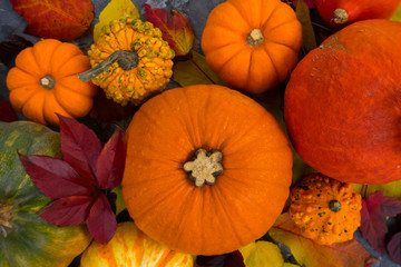 Harvest of pumpkins with fall leaves, flat lay scene