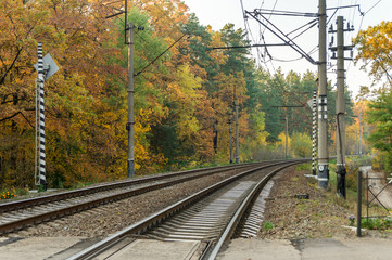 Fototapeta na wymiar Railroad tracks on the background of autumn forest