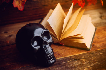 still life art photography on human skull skeleton with book omn desk