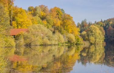 Autumn trees, Bohemian Paradise, Czech Republic.