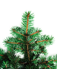 Background with christmas tree branches and space for text  for Christmas card, banner, flyer, wallpapers .