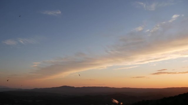 Rondini in volo al tramonto nel cielo della Toscana