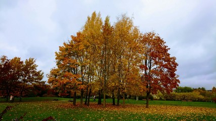 Amazing autumn in small town of Lithuania Mazeikiai