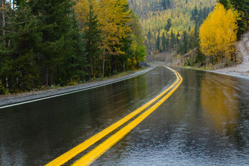 Fall coloras and aspen reflecting on the curve of a wet mountain road with bright yellow lines