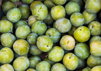 pile of green juicy plums on the market to buy for cooking or decoration