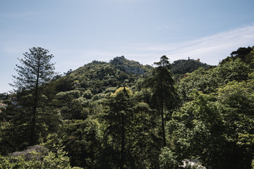 Beautiful landscape view on hill and mountains in Sintra covered with trees, summer Portugal