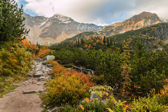 Fototapeta Tatry jesienią