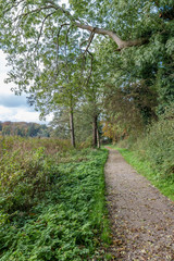 Fall in Maribo, nature at Søndersø