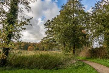 Fall in Maribo, nature at Søndersø