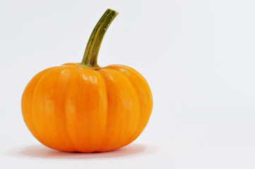 pumpkin in white background
