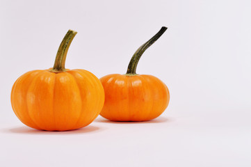 pumpkins in white background
