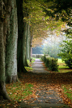 Herbst 2