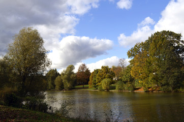 Rural pond with autumn trees along the waterside in Berlin, Germany