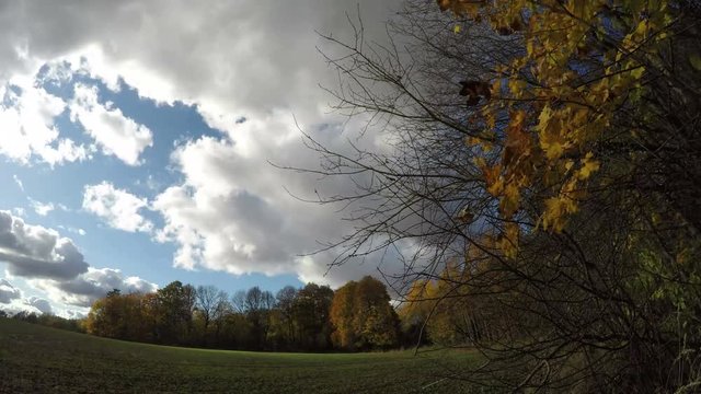 Autumn farmland landscape with field and trees and clouds motion, time lapse