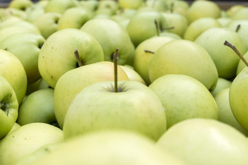 green apple close-up macro, background