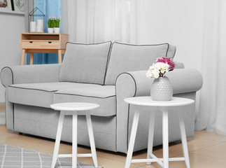 Comfortable sofa in living room