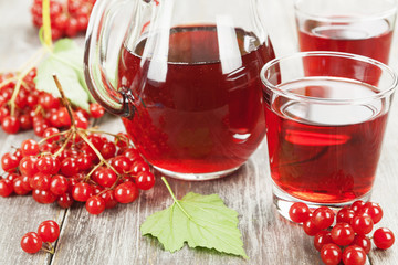 Medicinal drink fresh viburnum