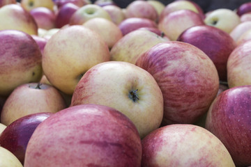 Closeup shot of fresh red apples