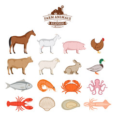 Vector farm animals and seafood collection