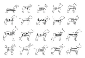 Vector dog icons collection isolated on white. Dogs breeds names and personality description
