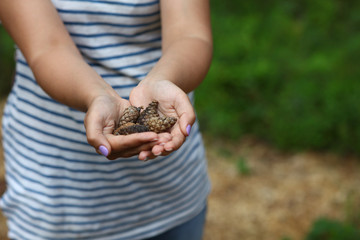 The girl is holding pine cones in her hands.