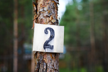 Plate with number two on pine