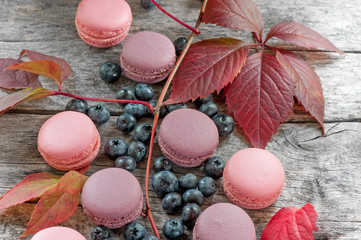 Ripe blueberry with pink macaroons and red beautiful autumn leaves. Copy space.