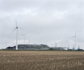 heavy industry and wind turbines behind field at Eemshaven in the north of groningen in the netherlands