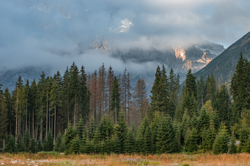 Tatra mountains, cloudy morning