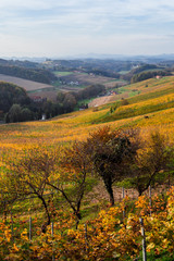 Weing&auml;rten in der Steiermark -  S&uuml;dsteirische Weinstrasse