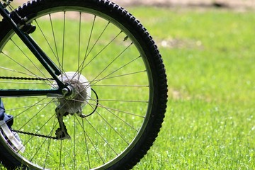 Fototapeta premium Wheel!