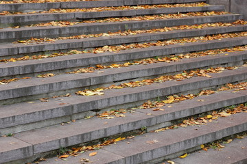 Yellow leaves on the steps in the city park