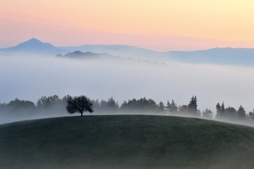 Autumn landscape with trees an fog in Slovakia. Fairy tale country. Morning scenery near village Poniky in Polana region © matkovci