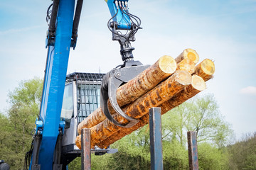 Holzwirtschaft - moderner Kran beim Verladen von Rundholz