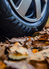 Tire in leaves