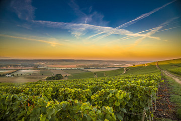 Champagne region in France. A beautiful view.