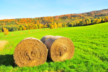 straw bales in mountains with autumn forest in background