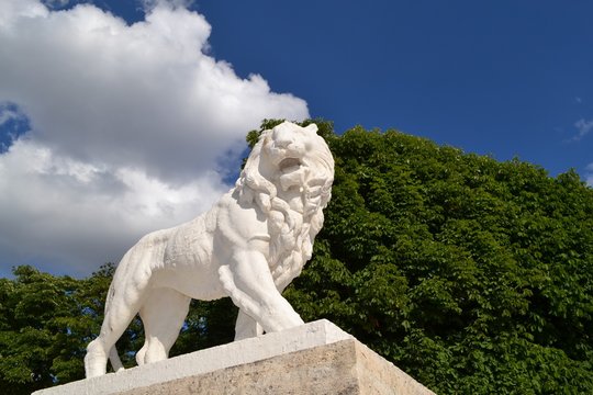 Majestic statue of a lion depicting power, in the Luxembourg Garden, tourist attraction in Paris, France