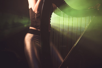 Electro harp in the rays of light
