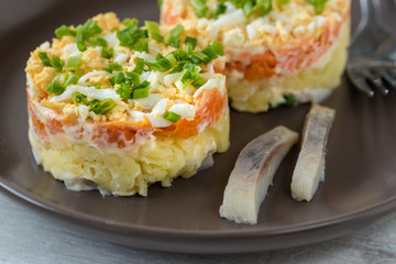 Szuba - herring under the coat -  traditional multilayered polish salad from herring, potatoes, carrots and eggs decorated with chives.