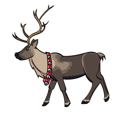 Reindeer with a belt of silver bells.