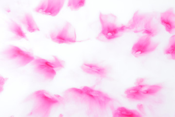Pink abstract spots on white background, paint dissolved in milk, art, abstract pink white texture for designer