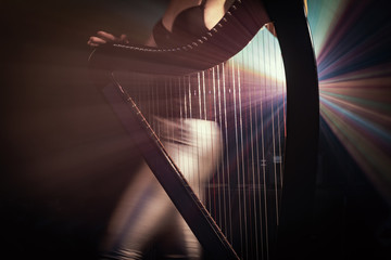 Electro harp in the rays of light