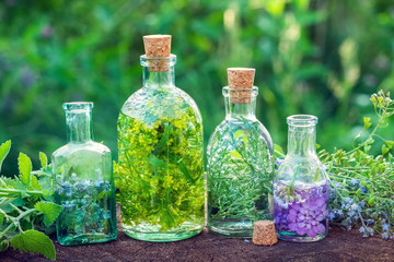 Bottles of herbal infusion and healing herbs outdoors. Herbal medicine. - obrazy, fototapety, plakaty