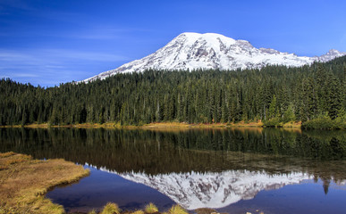 Mount Rainier Reflection