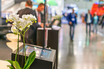 flowers in the center of the exhibition pavilion of the business forum.