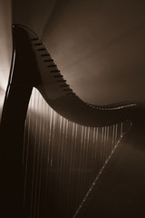 Electro harp in the rays of light