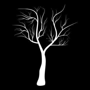 Bare Tree Icon Symbol Design. Vector illustration of tree isolated on black background. White silhouette naked tree for winter composition.