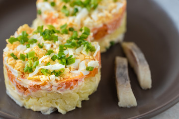 Herring under the coat -  multilayer salad from herring, potatoes, carrots and eggs decorated with chives.